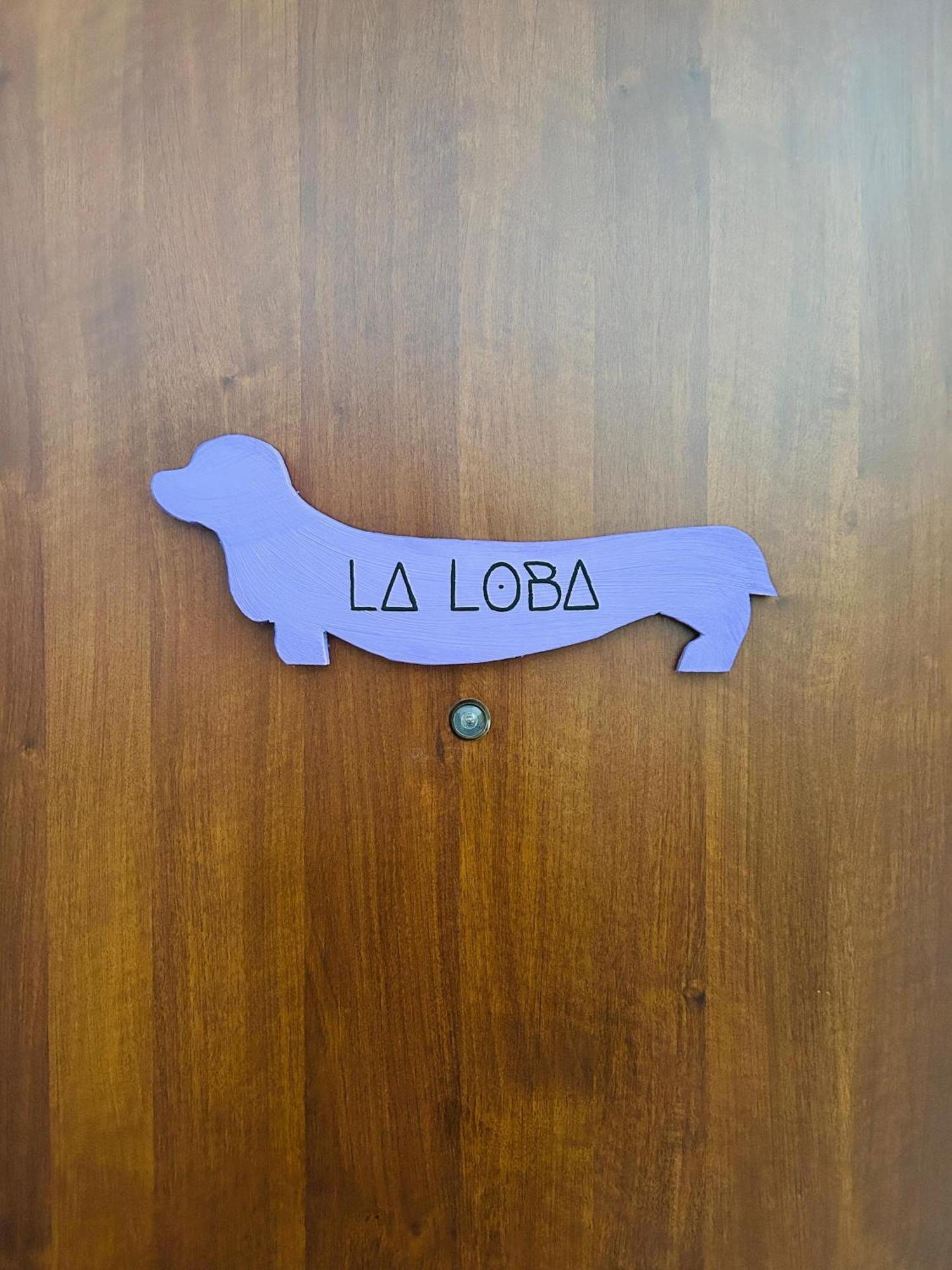 La Loba House Apartment Savona Exterior photo